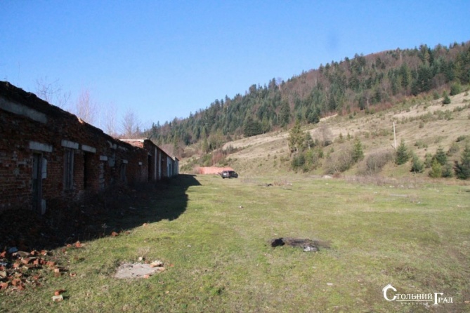 Sale of land for recreation center in Zakarpattia - Real Estate Stolny Grad photo 4
