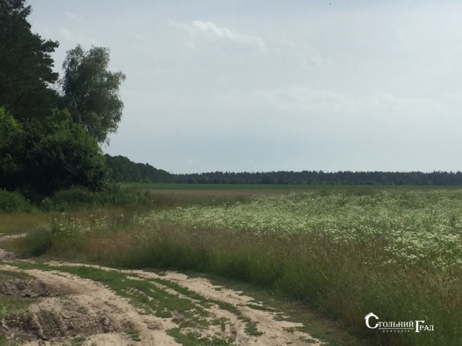 Sale of a picturesque plot near Kiev for a cottage town - Real Estate Stolny Grad photo 2