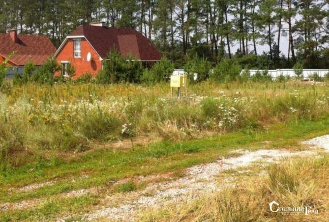 Sale of a picturesque plot near Kiev for a cottage town - Real Estate Stolny Grad photo 5