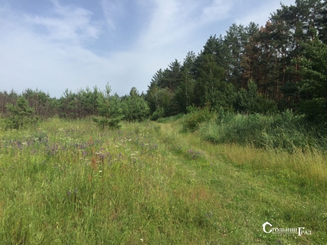 Sale of a picturesque plot near Kiev for a cottage town - Real Estate Stolny Grad photo 7