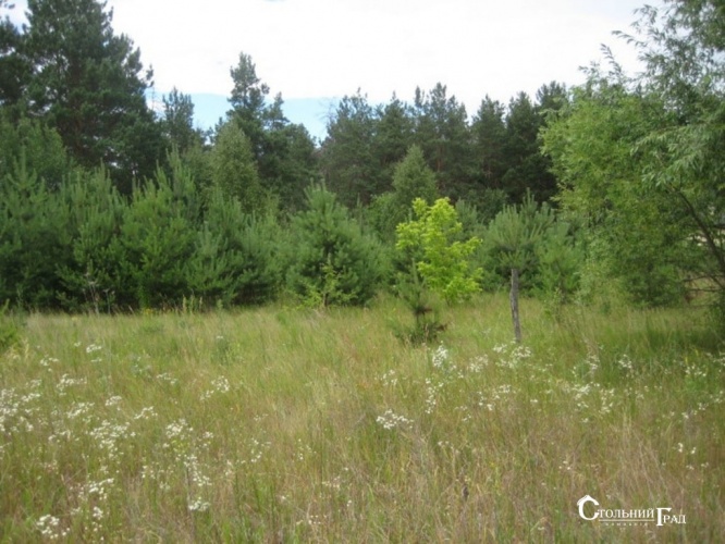 Sale of a picturesque plot near Kiev for a cottage town - Real Estate Stolny Grad photo 13