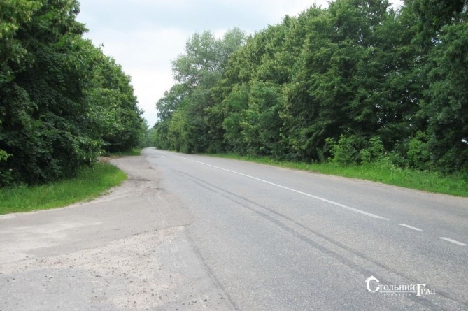 Sale of 15 hectares of picturesque forest near Kiev - Real Estate Stolny Grad photo 3