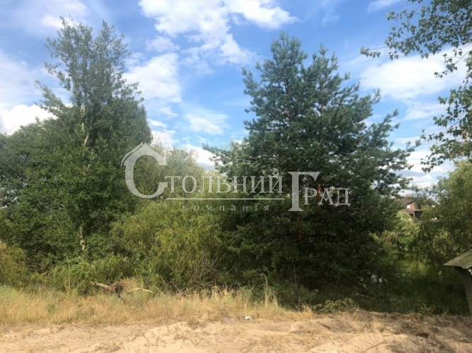 Selling a plot of 40 acres on the banks of the Dnieper - Real Estate Stolny Grad photo 11