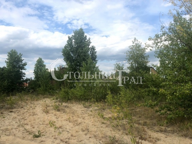 Selling a plot of 40 acres on the banks of the Dnieper - Real Estate Stolny Grad photo 12