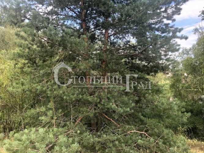 Selling a plot of 40 acres on the banks of the Dnieper - Real Estate Stolny Grad photo 14