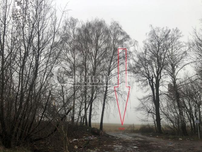 Sale of 2 facade plots Chernihiv highway one opposite the other - Real Estate Stolny Grad photo 8
