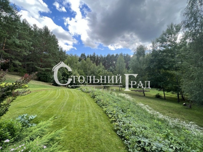 Renting a house in the forest in the suburbs of Kyiv with a huge plot - Stolny Grad photo 11