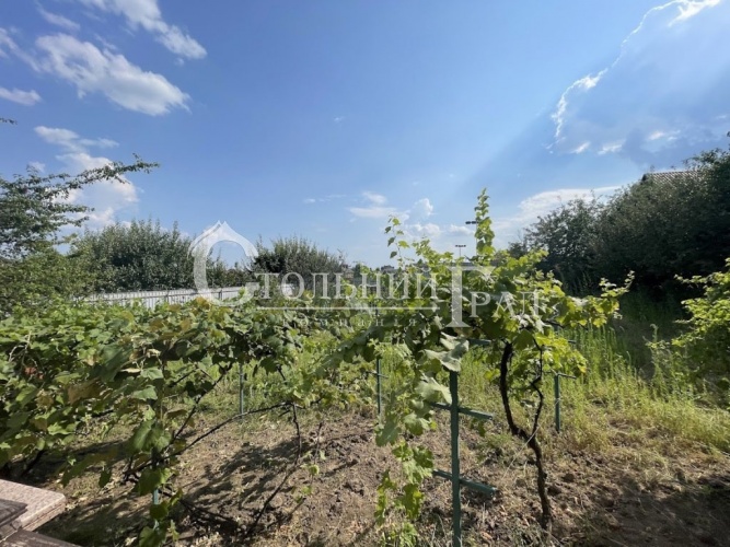 Renting a house with its own power plant near Kyiv - Stolny Grad photo 5