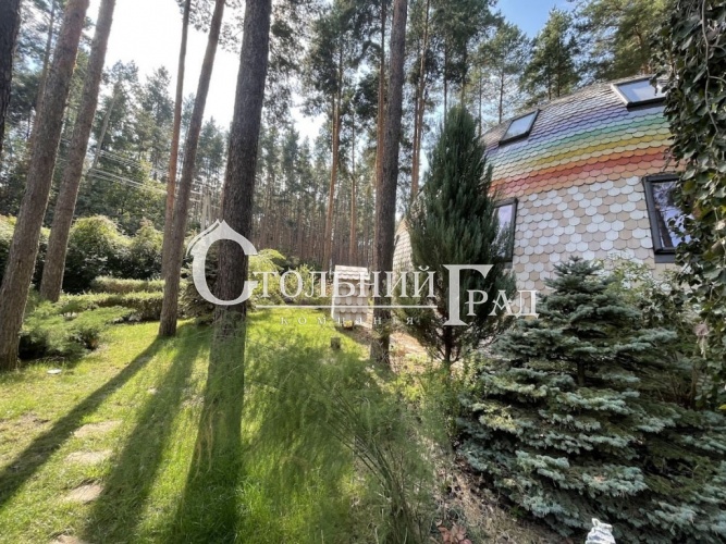 Rent comfortable eco-estate near Kiev surrounded by forest - Stolny Grad photo 1