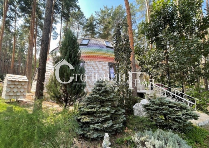 Rent comfortable eco-estate near Kiev surrounded by forest - Stolny Grad photo 3