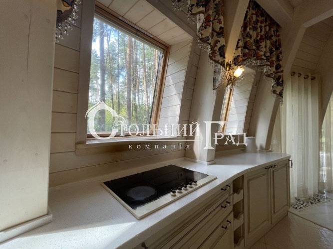 Rent comfortable eco-estate near Kiev surrounded by forest - Stolny Grad photo 20