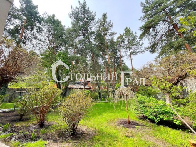 Продам дом в Конча-Заспе в лесу - АН Стольный Град фото 5