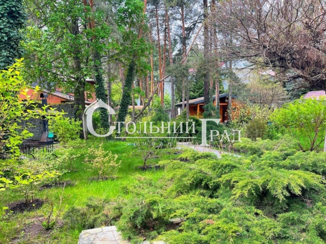 Продам дом в Конча-Заспе в лесу - АН Стольный Град фото 11