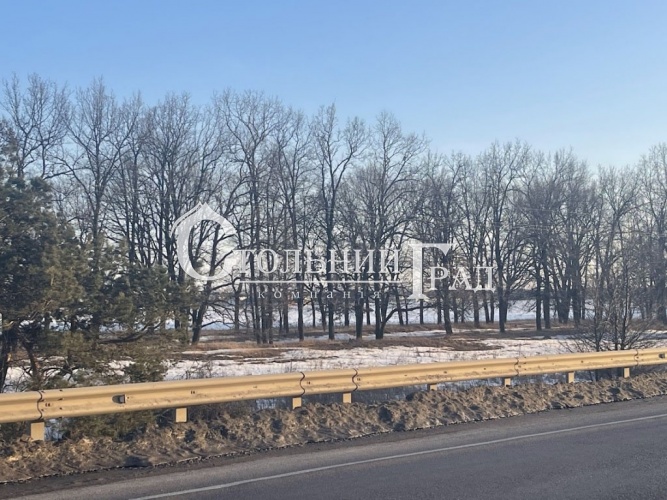 Продам участок 3 га под коммерцию на Бориспольской окружной - АН Стольный Град фото 3