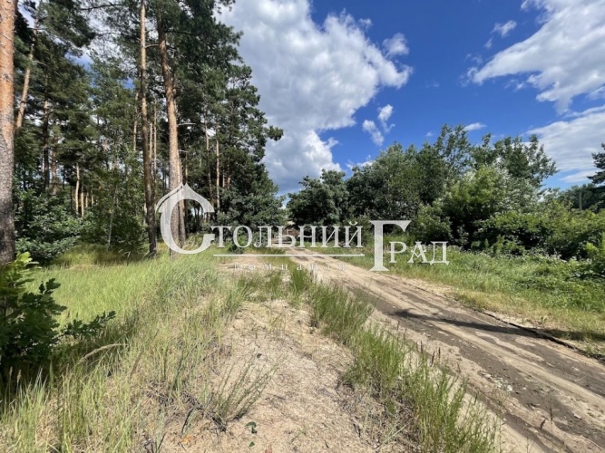 Продажа участка 42 сотки в с. Глеваха - АН Стольный Град фото 3