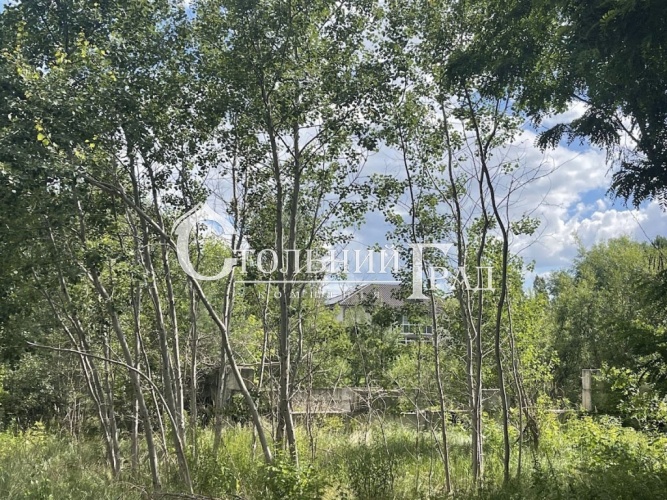 Продажа участка 42 сотки в с. Глеваха - АН Стольный Град фото 4