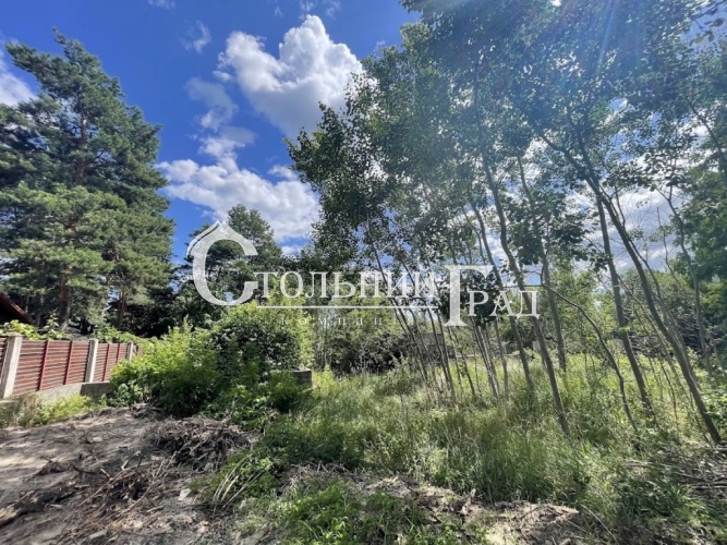 Продажа участка 42 сотки в с. Глеваха - АН Стольный Град фото 10