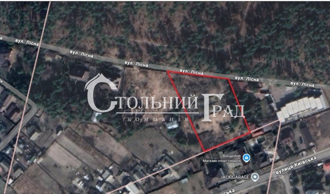 Продажа участка 42 сотки в с. Глеваха - АН Стольный Град фото 1