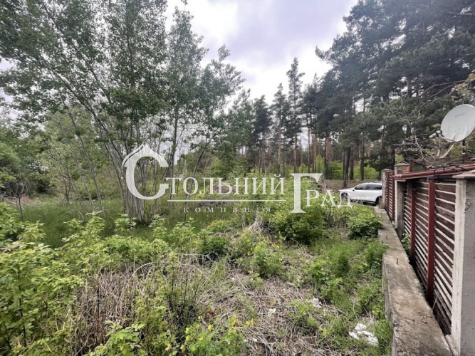 Продажа участка 42 сотки в с. Глеваха - АН Стольный Град фото 11