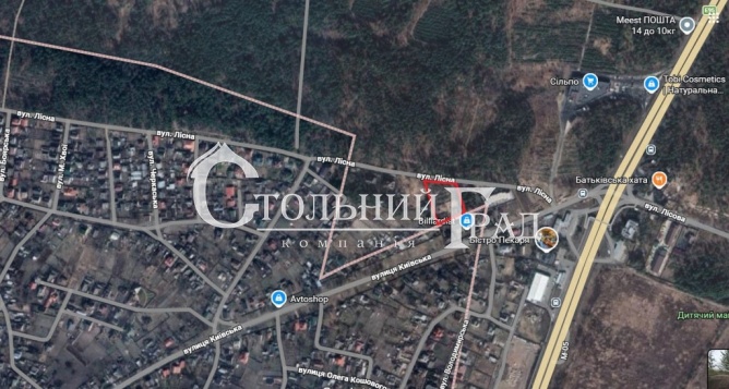 Продажа участка 42 сотки в с. Глеваха - АН Стольный Град фото 2