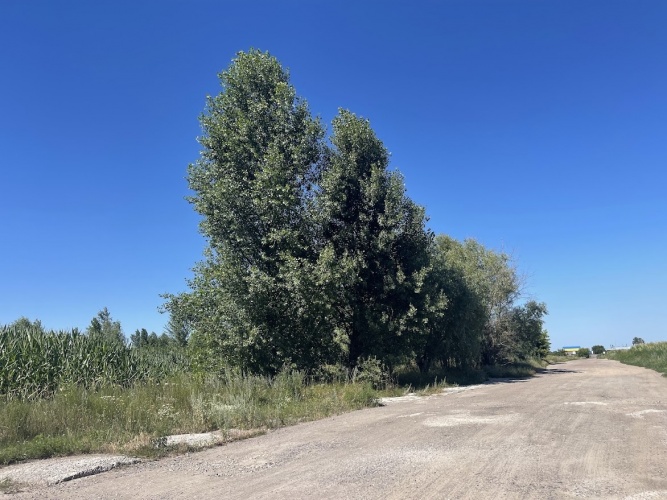 Продам участок 3 га под коммерцию на Бориспольской окружной - АН Стольный Град фото 9