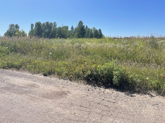 Продам участок 3 га под коммерцию на Бориспольской окружной - АН Стольный Град фото 10